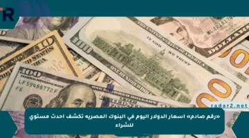 «رقم صادم» أسعار الدولار اليوم في البنوك المصرية تكشف أحدث مستوى للشراء